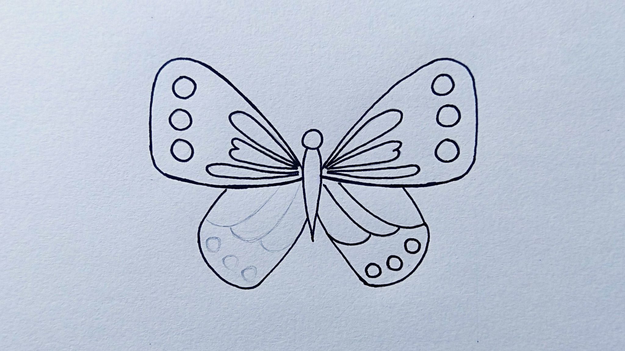 Нарисовать бабочку на одной стороне
